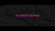 哈士奇感冒不断有眼屎