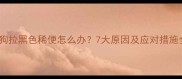 狗狗拉黑色稀便怎么办7大原因及应对措施全