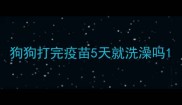 狗狗打完疫苗5天就洗澡吗