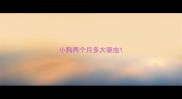 小狗两个月多大驱虫