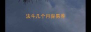法斗几个月容易养