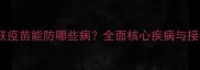 狗狗4联疫苗能防哪些病全面核心疾病与接种指南