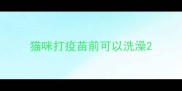 猫咪打疫苗前可以洗澡
