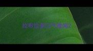 拉布拉多口气难闻