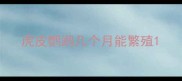 虎皮鹦鹉几个月能繁殖