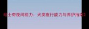 哈士奇夜间视力犬类夜行能力与养护指南