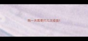 狗一共需要打几次疫苗