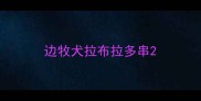 边牧犬拉布拉多串