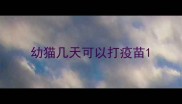 幼猫几天可以打疫苗