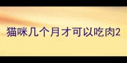猫咪几个月才可以吃肉