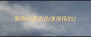 狗狗拉黑色的便便稀的