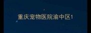 重庆宠物医院渝中区