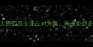 狗狗偷吃狗粮的三大原因及专业应对方案养宠家庭必看的粮仓管理指南