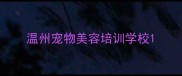 温州宠物美容培训学校
