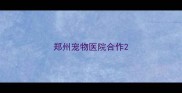 郑州宠物医院合作