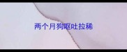 两个月狗呕吐拉稀