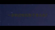 一岁的边牧拉肚子怎么办