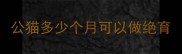 公猫多少个月可以做绝育