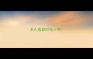 怎么教聪明哈士奇