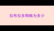 拉布拉多狗粮为多少