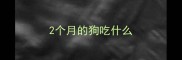 2个月的狗吃什么