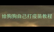 给狗狗自己打疫苗教程