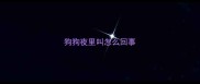 狗狗夜里叫怎么回事