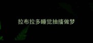 拉布拉多睡觉抽搐做梦