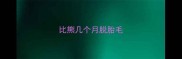 比熊几个月脱胎毛