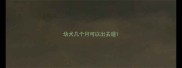 幼犬几个月可以出去遛