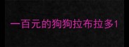 一百元的狗狗拉布拉多