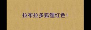 拉布拉多狐狸红色