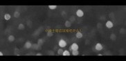 小哈士奇应该给吃什么