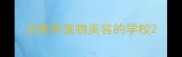 济南学宠物美容的学校