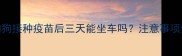 狗狗接种疫苗后三天能坐车吗注意事项全