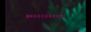 猫咪名字日本名字大全