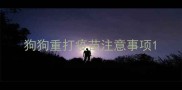 狗狗重打疫苗注意事项