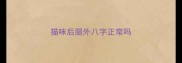 猫咪后腿外八字正常吗