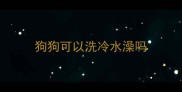 狗狗可以洗冷水澡吗