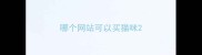 哪个网站可以买猫咪