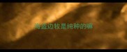 海盗边牧是纯种的嘛