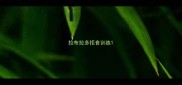拉布拉多拒食训练