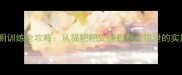 猫咪如厕训练全攻略从猫粑粑处理到定点排泄的实用指南