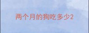 两个月的狗吃多少