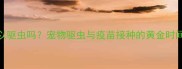 刚打完疫苗可以驱虫吗宠物驱虫与疫苗接种的黄金时间表及注意事项