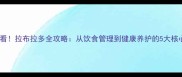 新手必看拉布拉多全攻略从饮食管理到健康养护的5大核心要点