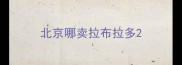 北京哪卖拉布拉多