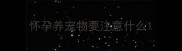 怀孕养宠物要注意什么