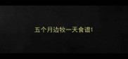 五个月边牧一天食谱
