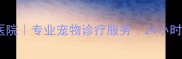 泉州仁和宠物医院专业宠物诊疗服务24小时急诊宠物医院
